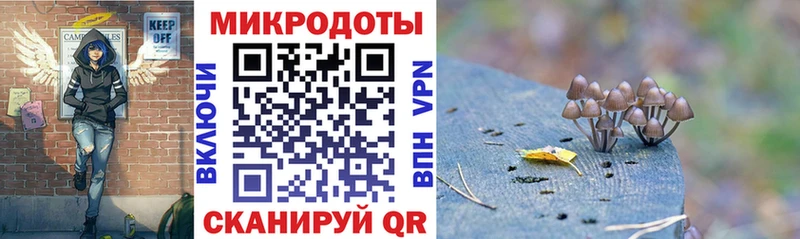 дарк нет официальный сайт  Муром  Галлюциногенные грибы прущие грибы 